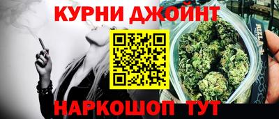 твердый Кингисепп