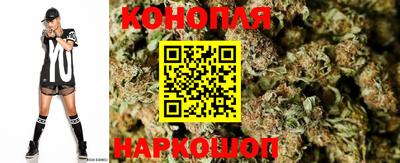 твердый Кингисепп