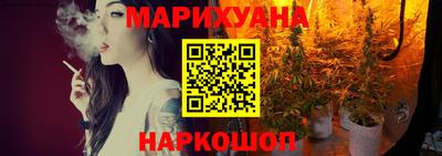 твердый Кингисепп