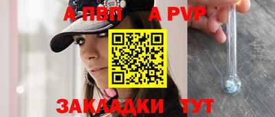 твердый Кингисепп