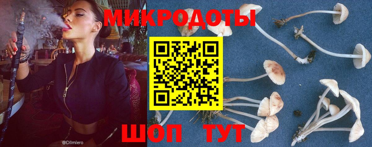 Коммунар  Псилоцибиновые грибы мухоморы  Вход с VPN 