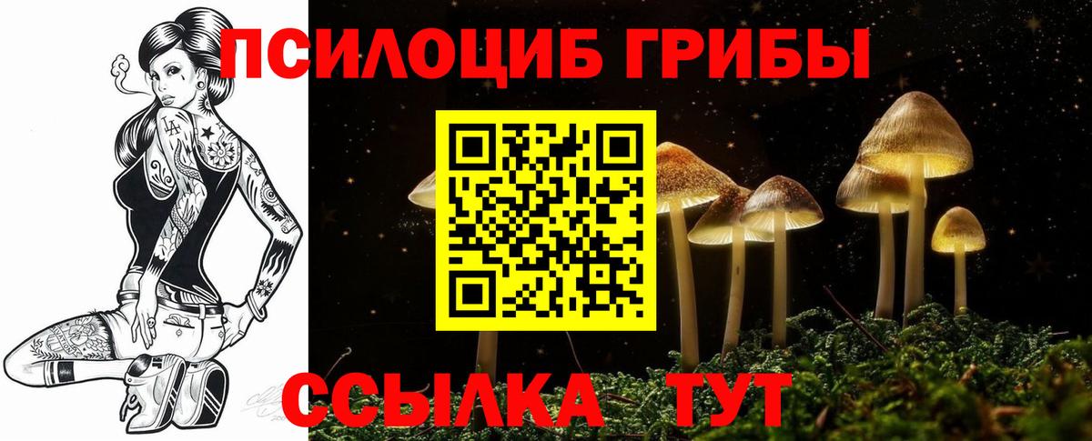 Псилоцибиновые грибы Psilocybine cubensis Коммунар